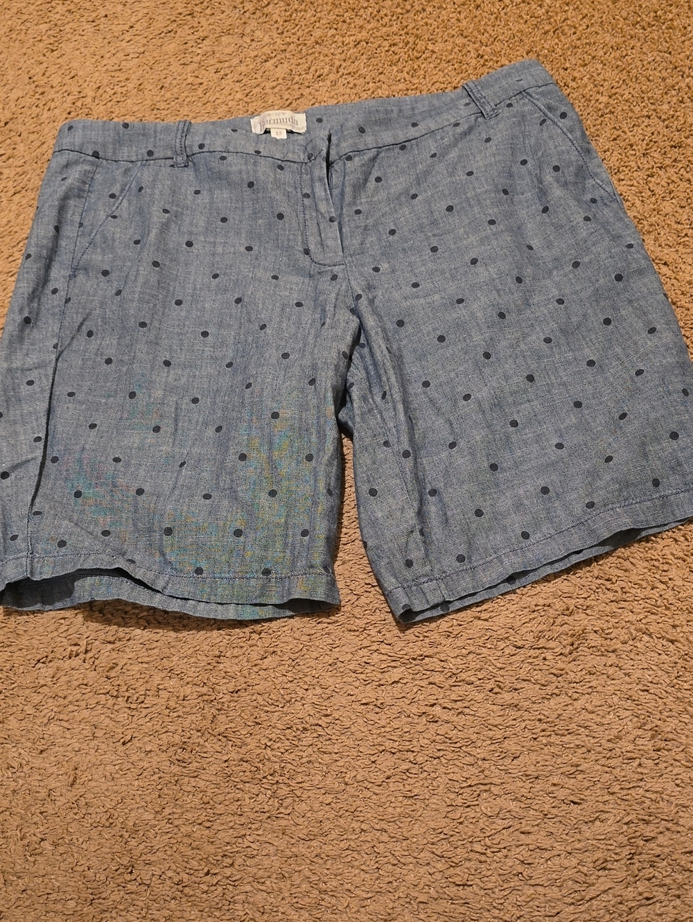 J. CREW Size 12 Light Blue Shorts with Navy Polka Dots